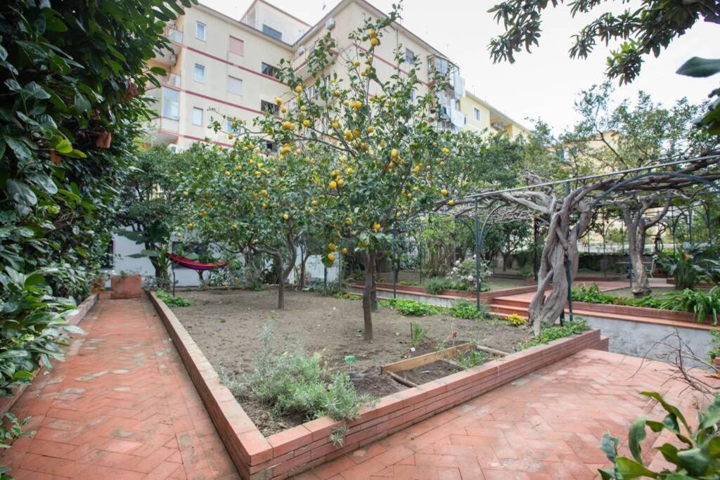 维克艾库塞Oltre Il Giardino别墅 外观 照片