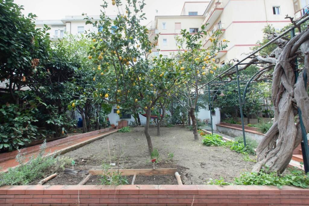 维克艾库塞Oltre Il Giardino别墅 外观 照片